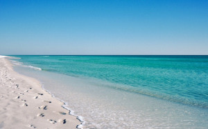 sanibel beach 550x344 Best Beaches in Florida