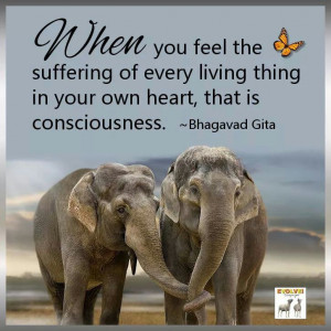 Pinned by Ruth Roman