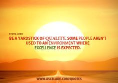 ... used to an environment where excellence is expected. Steve Jobs