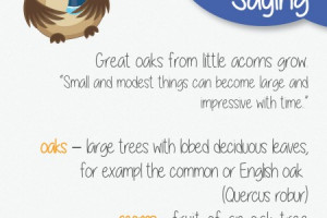 Shenker English Tips - Quotes, Sayings & Idioms /2 Infographic