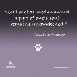 Pinned by Elyse Giles