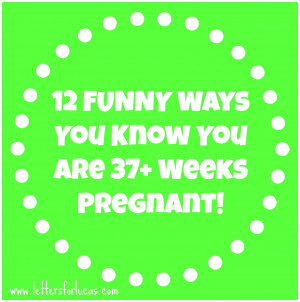 Funny Pregnancy Hormone Quotes On my hormone level