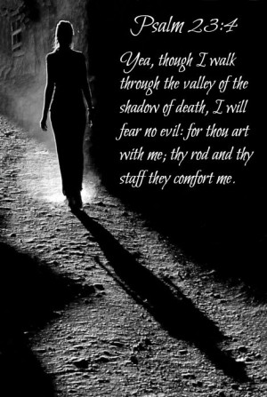 Psalm 23:4 Yea, though I walk through the valley of the shadow of ...