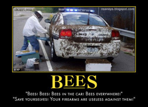 Bees Swarming Police Car: Tommy Boy Quote