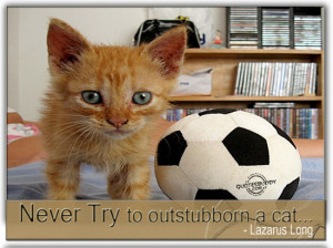 http://quotespictures.com/never-try-to-outstubborn-a-cat-lazarus-long/