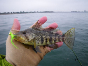 Life is good. Eternal Life is better!