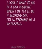 Car Accident Quotes Funny