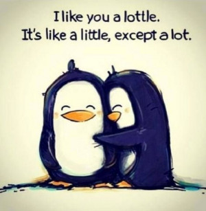 Love you a lottle penguin
