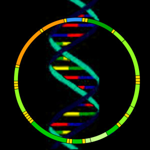 Mitochondrial DNA Wallpaper