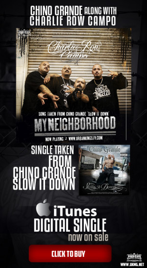 Ms Krazie Sorry Aint Enough Popscreen Picture