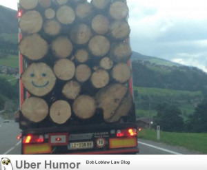 Yesterday on my way home | Funny Pictures, Quotes, Pics, Photos ...