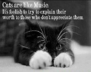 Cats are like music... It's foolish to try to explain their worth to ...