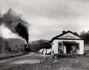 Maud Bows to the Virginia Creeper, Green Cove, Virginia