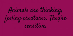 Animals are thinking, feeling creatures. They're sensitive.