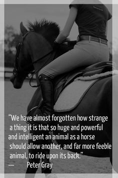 and intelligent an animal as a horse should allow another and far more ...