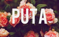facebook covers flowers putas spanglish t t wall pictures