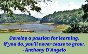 Learning And Development Quotes Education quotes