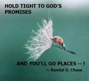 Hold on tight to God's promises :)