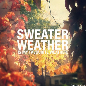 Sweater weather is my favourite weather
