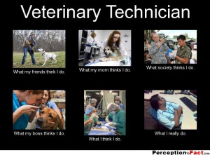 Veterinary Technician...