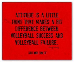 Inspirational Volleyball Quotes For Setters