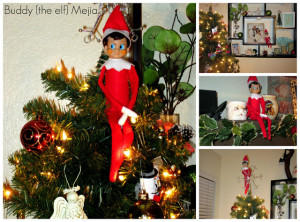 Displaying 18> Images For - Buddy The Elf Screaming Santa...