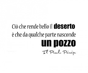 quotes Il Piccolo Principe