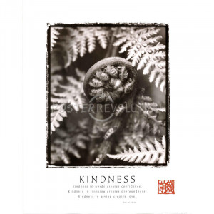 Tao Te Ching Kindness Ferns Motivational Poster