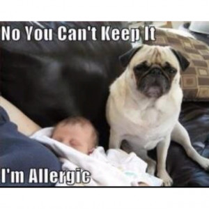 Damn allergies...