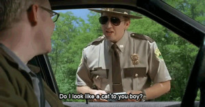 Super Troopers Meow Meme