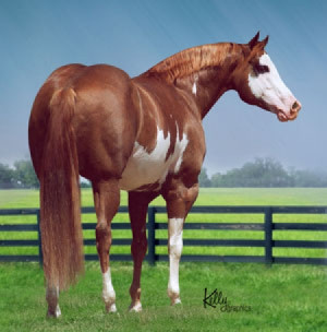 Funny Quotes Contact Dmca...