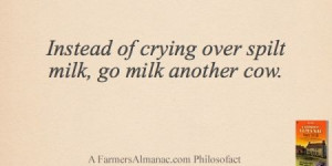 Instead of crying over spilt milk, go milk another cow. - A Farmers ...