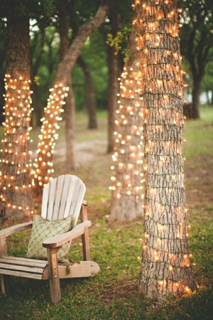 Outdoor Wedding Lights Trees