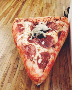 Cama para cachorro em formato de fatia de pizza sabor calabresa