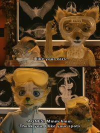 Fantastic Mr. Fox Quotes