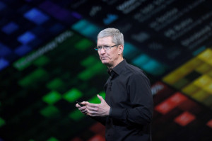 Apple Inc. Chief Executive Officer Tim Cook