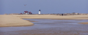 Cape Code National Seashore