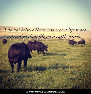 Cow Quotes and Sayings
