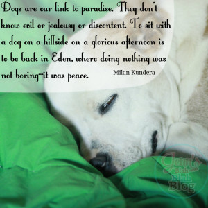quotes about dogs
