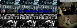 Hawthorne Heights 101 cover
