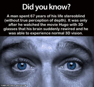 And Suddenly He Has 3D Perception | Funny Pictures and Quotes