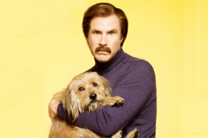 Related Pictures baxter the dog anchorman quotes anchorman quotes http ...
