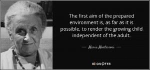 The first aim of the prepared environment is, as far as it is possible ...