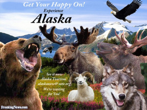 Funny Animals Happy in Alaska