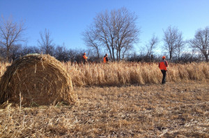 Great Nebraska Pheasant Hunting | The Best Pheasant Hunting in ...