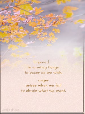 greed-quotes-anger-quotes-Buddhist-sayings.jpg