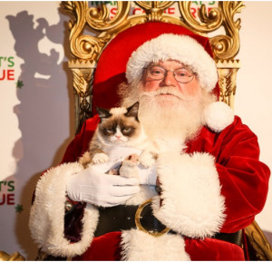 grumpy cat christmas Santa