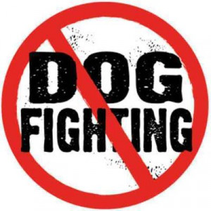 no_ dog_fighting