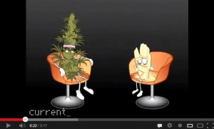 Marijuana Crystal Meth Funny But True Video