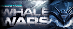 watch whale wars full episodes
